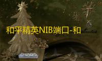 和平精英NIB端口-和平精英单透助手